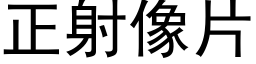 正射像片 (黑体矢量字库)