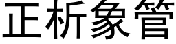 正析象管 (黑體矢量字庫)