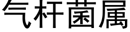 气杆菌属 (黑体矢量字库)