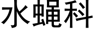 水蝇科 (黑体矢量字库)