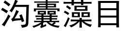 溝囊藻目 (黑體矢量字庫)