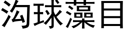 溝球藻目 (黑體矢量字庫)