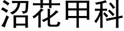 沼花甲科 (黑體矢量字庫)