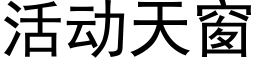 活动天窗 (黑体矢量字库)