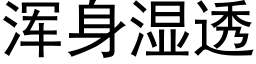 渾身濕透 (黑體矢量字庫)