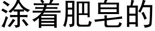 塗着肥皂的 (黑體矢量字庫)