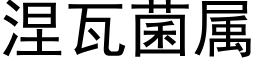 涅瓦菌属 (黑体矢量字库)