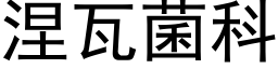 涅瓦菌科 (黑體矢量字庫)