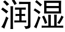 潤濕 (黑體矢量字庫)