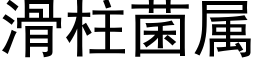 滑柱菌属 (黑体矢量字库)