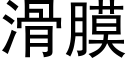 滑膜 (黑体矢量字库)