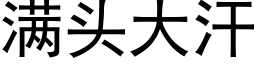 滿頭大汗 (黑體矢量字庫)