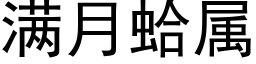 滿月蛤屬 (黑體矢量字庫)