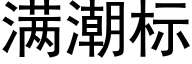 满潮标 (黑体矢量字库)