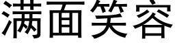 满面笑容 (黑体矢量字库)