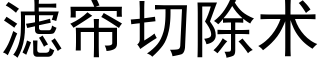 滤帘切除术 (黑体矢量字库)