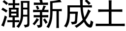 潮新成土 (黑體矢量字庫)