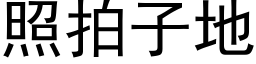 照拍子地 (黑體矢量字庫)