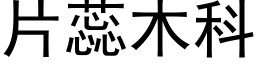 片蕊木科 (黑體矢量字庫)