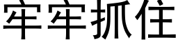 牢牢抓住 (黑体矢量字库)