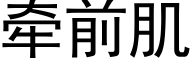 牵前肌 (黑体矢量字库)