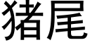 豬尾 (黑體矢量字庫)