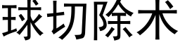 球切除术 (黑体矢量字库)