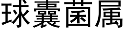 球囊菌属 (黑体矢量字库)