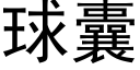 球囊 (黑体矢量字库)