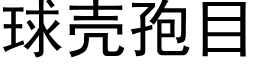 球壳孢目 (黑体矢量字库)