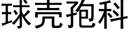 球壳孢科 (黑体矢量字库)