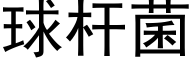 球杆菌 (黑体矢量字库)