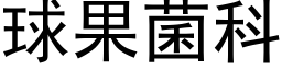 球果菌科 (黑体矢量字库)