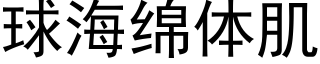 球海绵体肌 (黑体矢量字库)