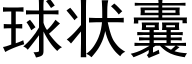 球状囊 (黑体矢量字库)