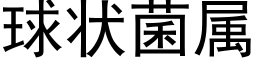 球状菌属 (黑体矢量字库)