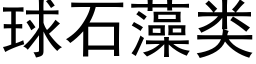 球石藻类 (黑体矢量字库)