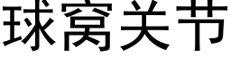 球窝关节 (黑体矢量字库)