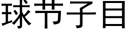 球节子目 (黑体矢量字库)