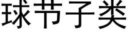 球节子类 (黑体矢量字库)