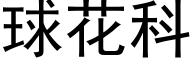 球花科 (黑体矢量字库)