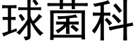 球菌科 (黑体矢量字库)