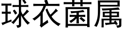 球衣菌属 (黑体矢量字库)