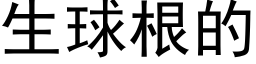 生球根的 (黑体矢量字库)