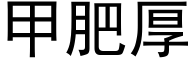 甲肥厚 (黑體矢量字庫)