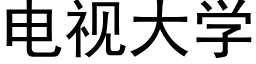 電視大學 (黑體矢量字庫)