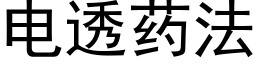 电透药法 (黑体矢量字库)