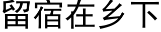 留宿在乡下 (黑体矢量字库)