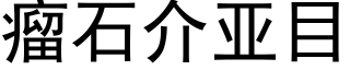 瘤石介亚目 (黑体矢量字库)