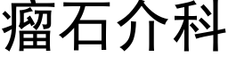 瘤石介科 (黑体矢量字库)